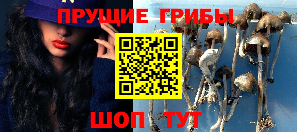 Марихуана Мурино