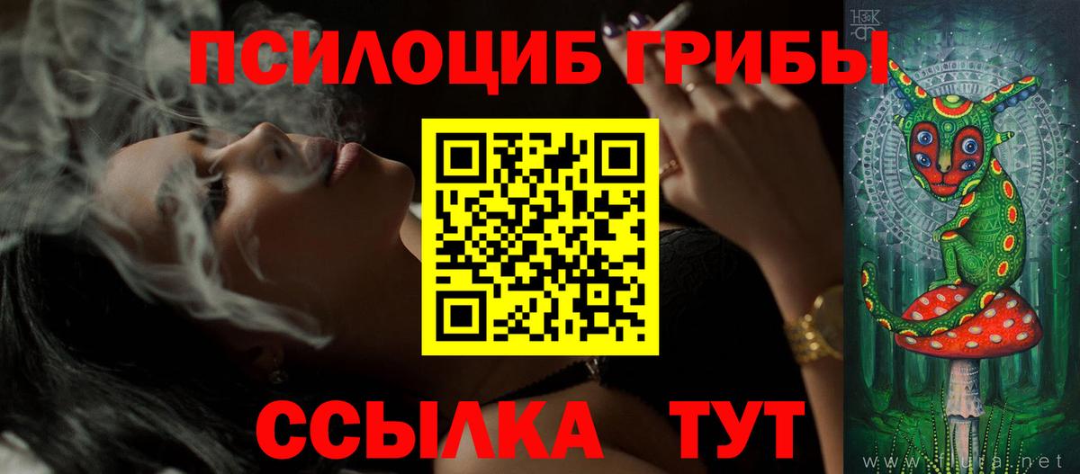 Псилоцибиновые грибы прущие грибы Мурино