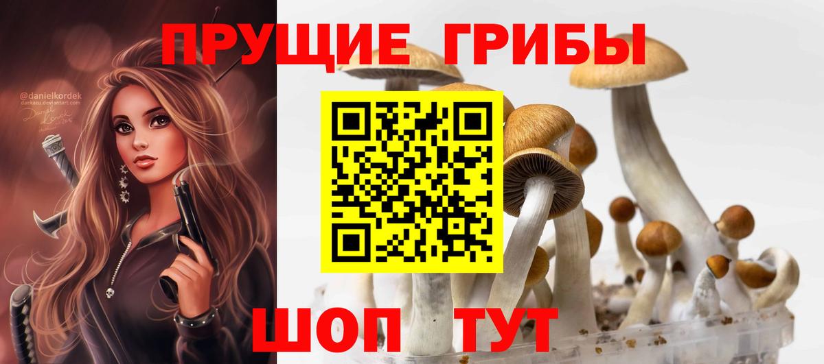 Мурино  Галлюциногенные грибы прущие грибы  Галлюциногенные грибы мухоморы  где купить наркотик  Вход с VPN 